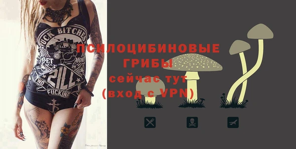 соль ск Алексеевка