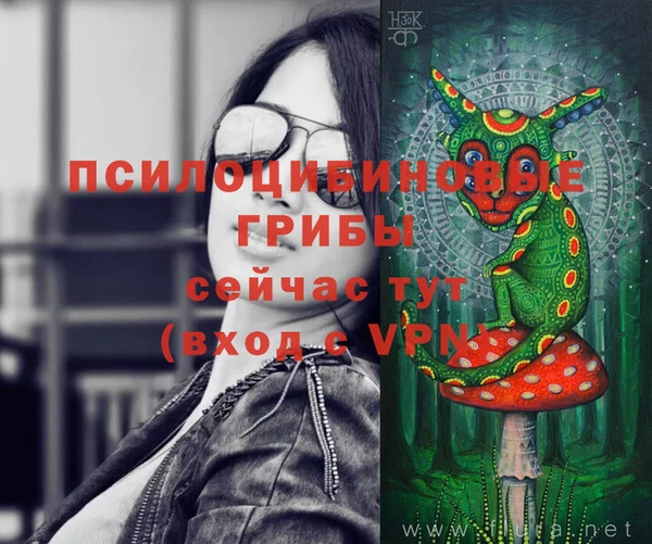 ECSTASY Новозыбков