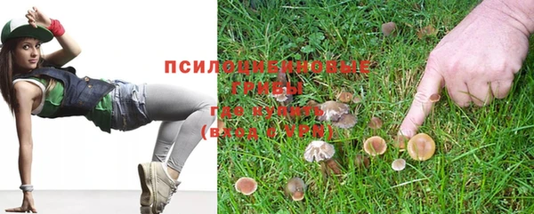 соль ск Алексеевка