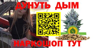 сатива Шахты