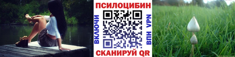 Псилоцибиновые грибы MAGIC MUSHROOMS  Бийск 