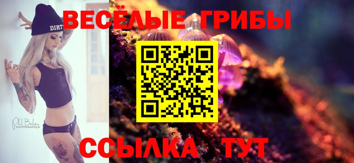 ГАШ Бийск